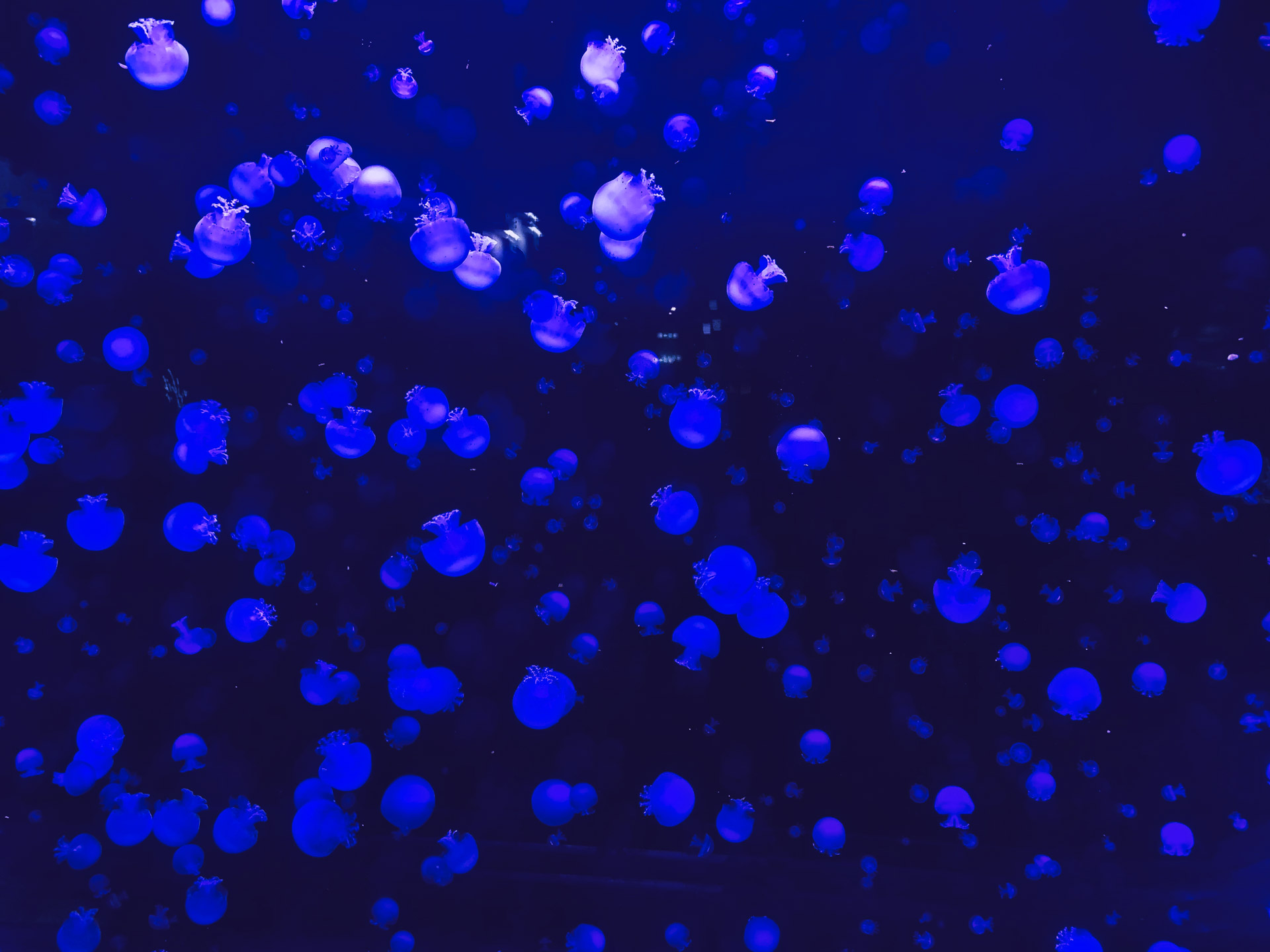 Aqua Terra Zoo