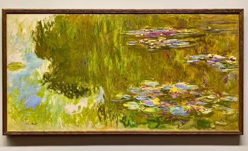 The Water Lily Pond
