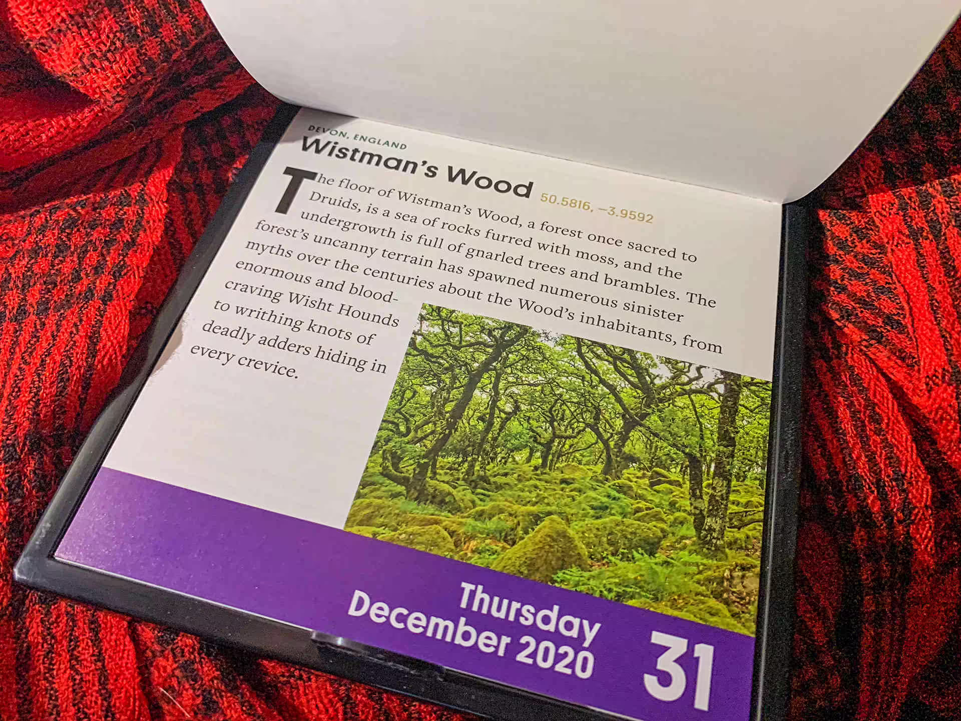 Wistman Wood
