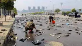 Lluvia de Peces