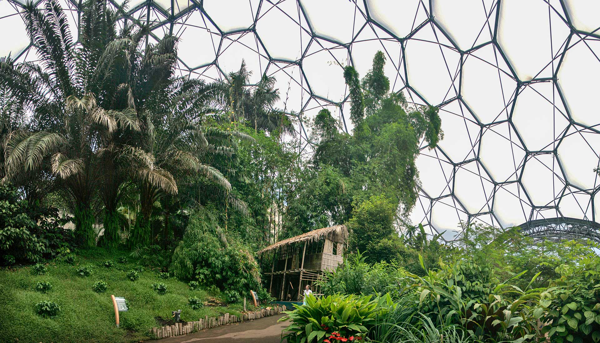 Eden project