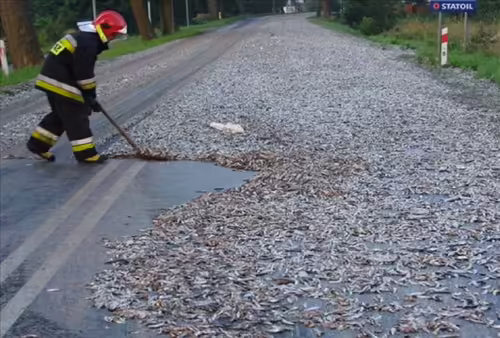 Lluvia de Peces