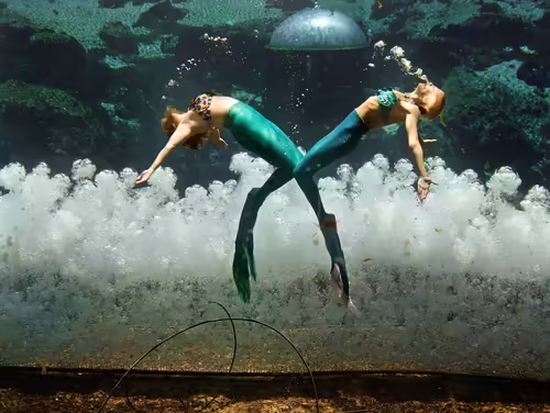 Morské panny z Weeki Wachee