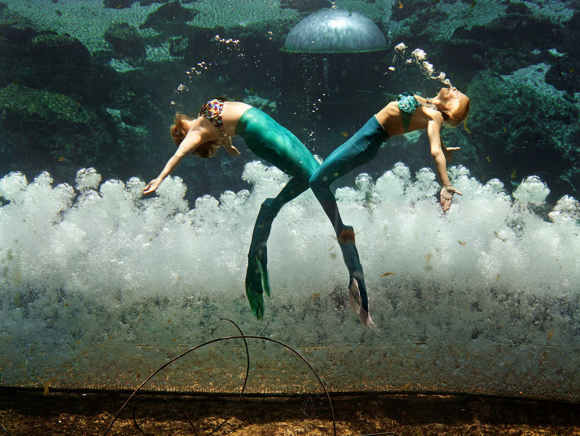 Morské panny z Weeki Wachee