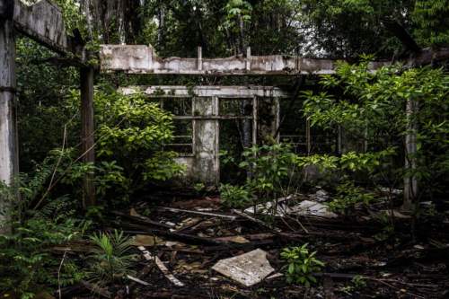 Mestečko Ford, Brazília