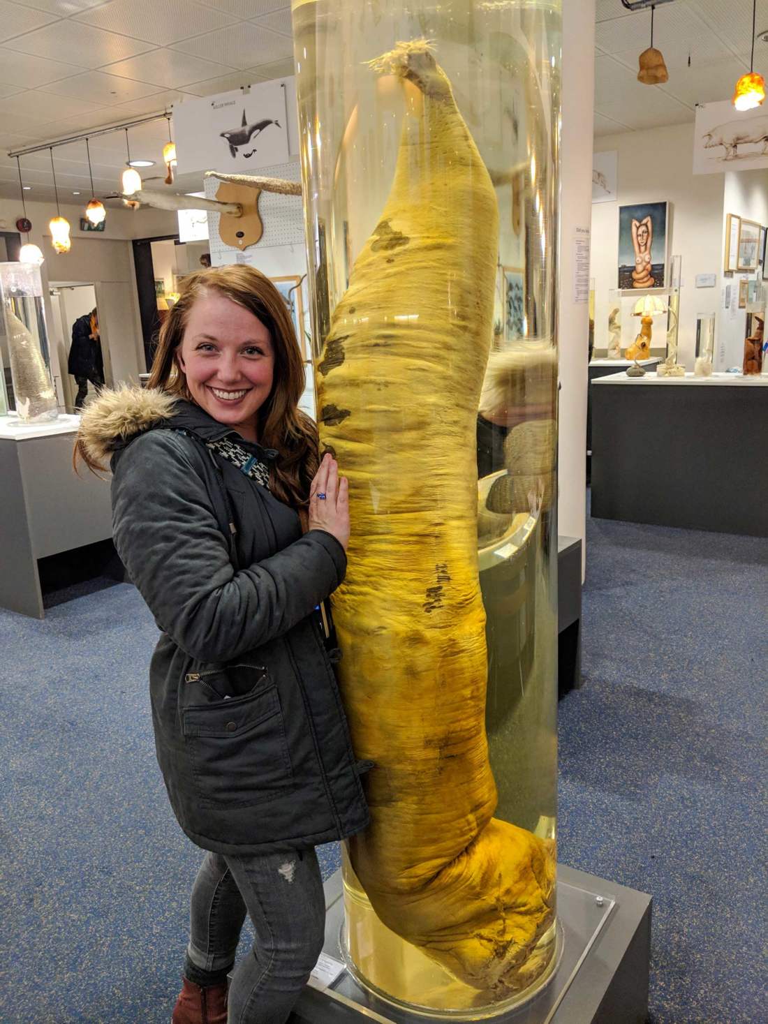 Islandské falologické múzeum