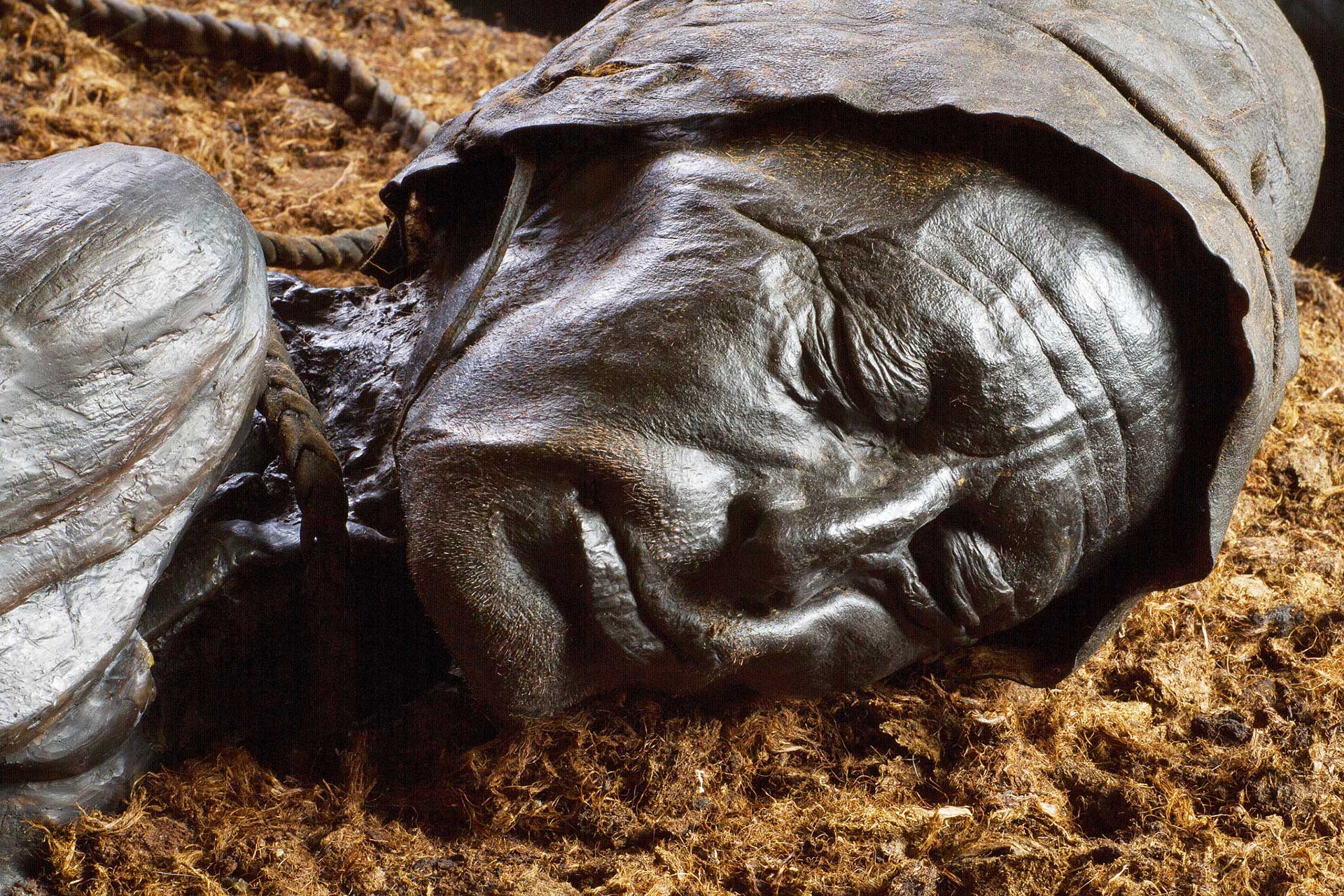 https://www.placemania.sk/wp-content/uploads/2020/04/tollund_man.jpg