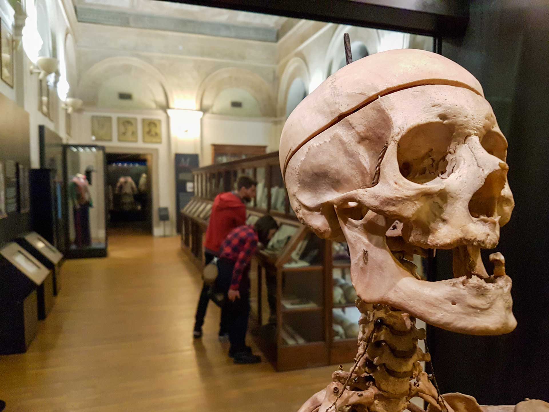 https://www.placemania.sk/wp-content/uploads/2020/05/muzeum_antropologie.jpg