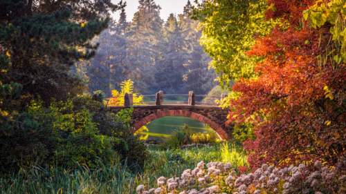 Botanical garden, Berlin, Germany