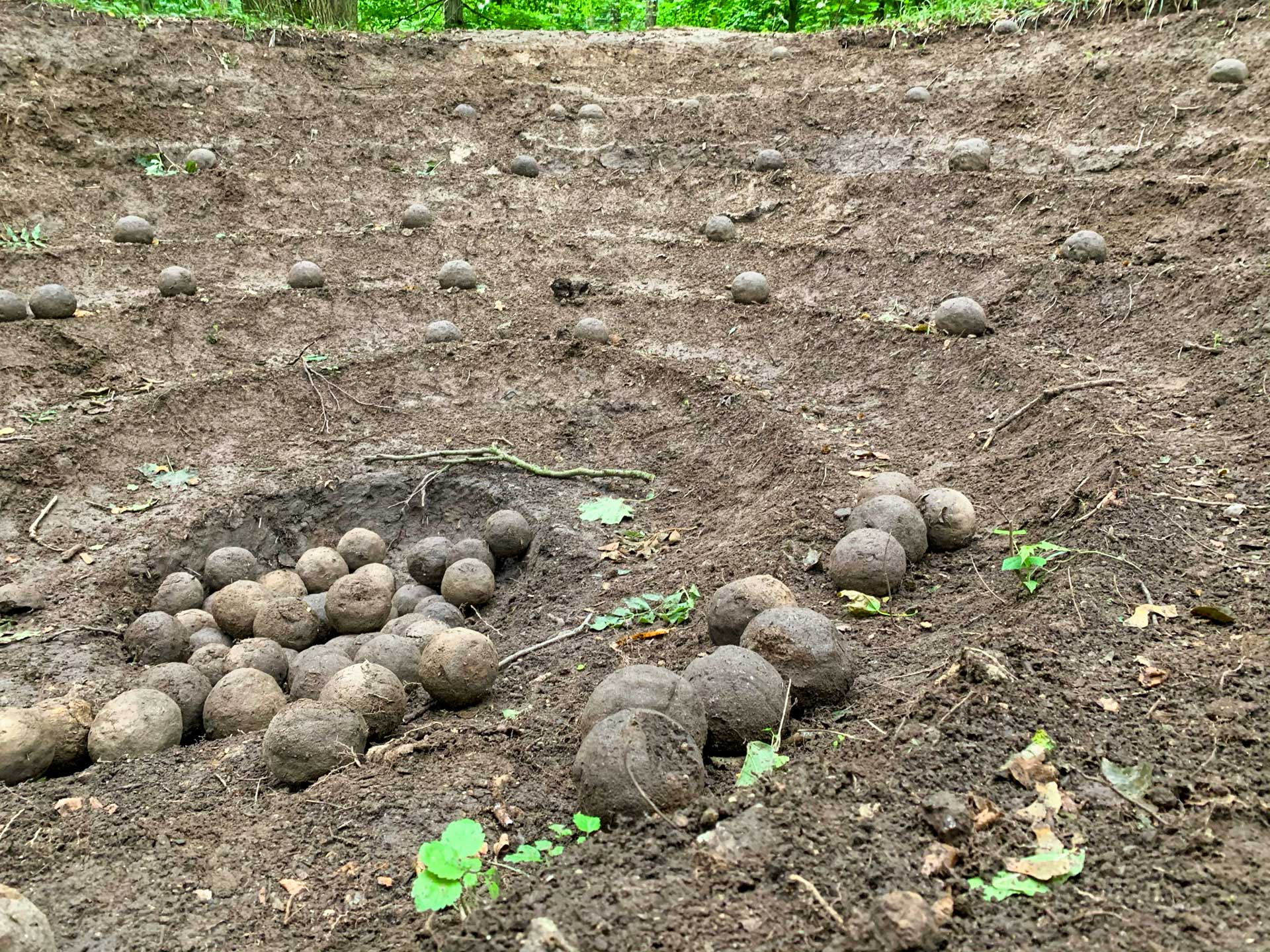 Land Art, Devínska Kobyla
