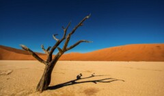Púšť, Namíbia