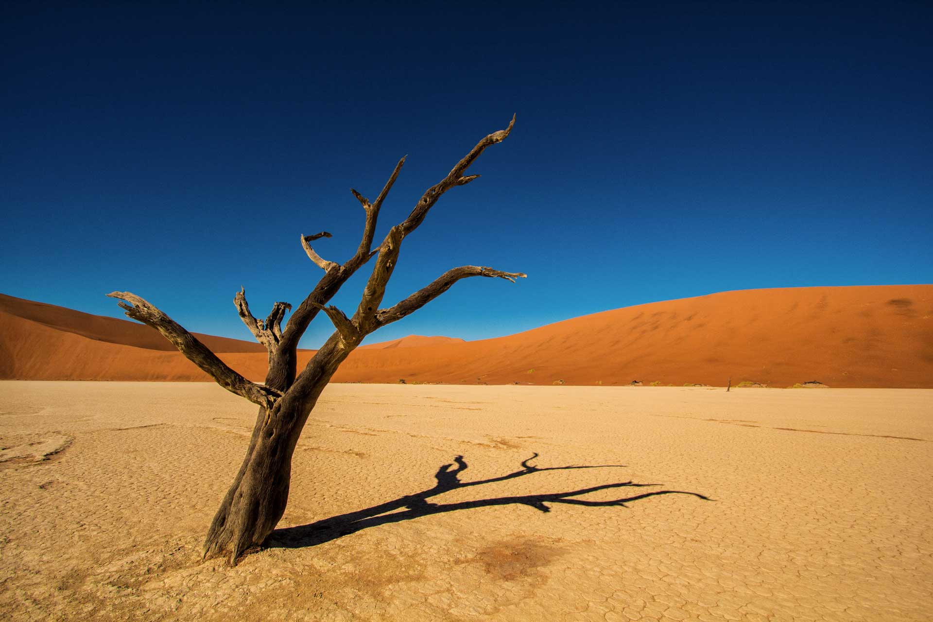 https://www.placemania.sk/wp-content/uploads/2020/09/deadvlei.jpg