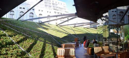 FastFood Batumi McDonald’s