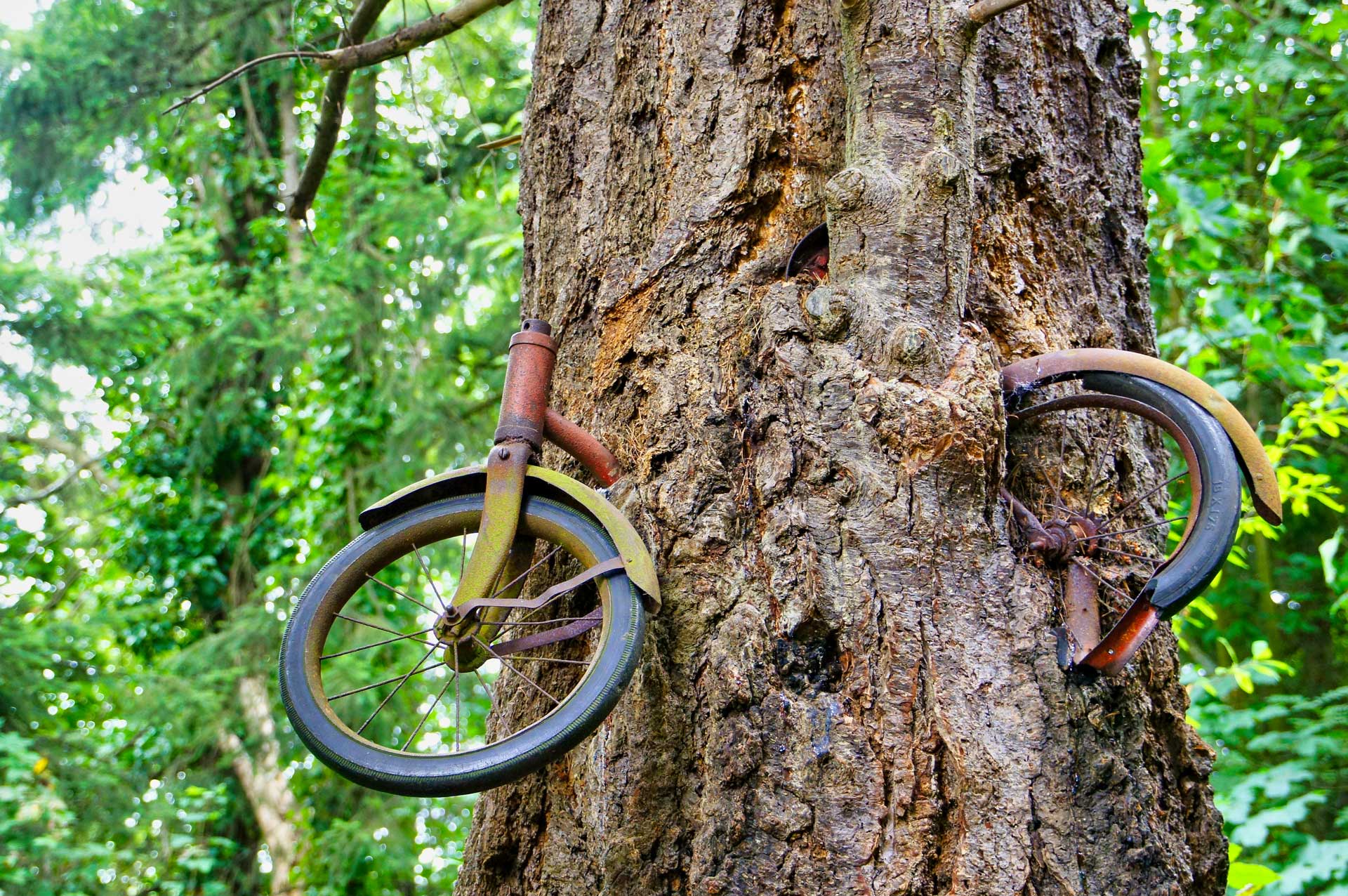 https://www.placemania.sk/wp-content/uploads/2020/10/bicycle_tree.jpg