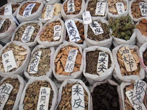 Wei Wu Da Dao, Bozhou