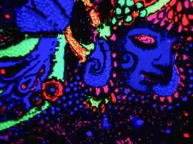 psychedelické múzeum