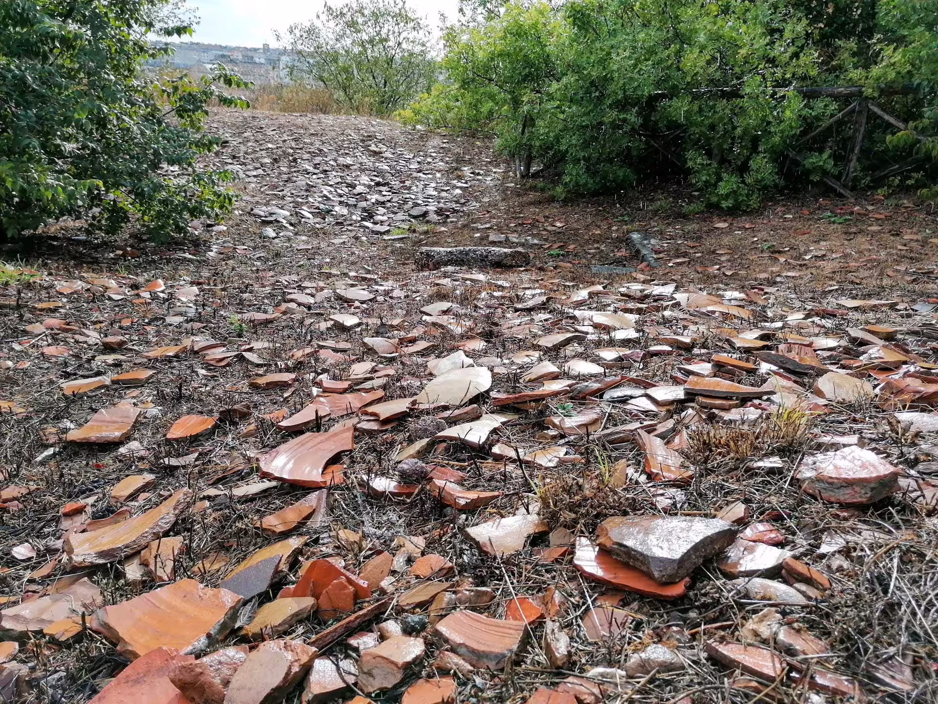 Monte Testaccio