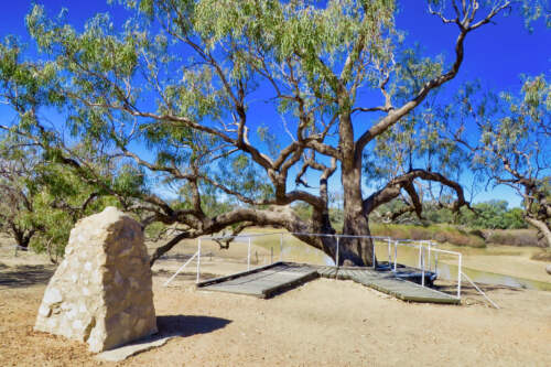 The Dig Tree, Cooper Creek