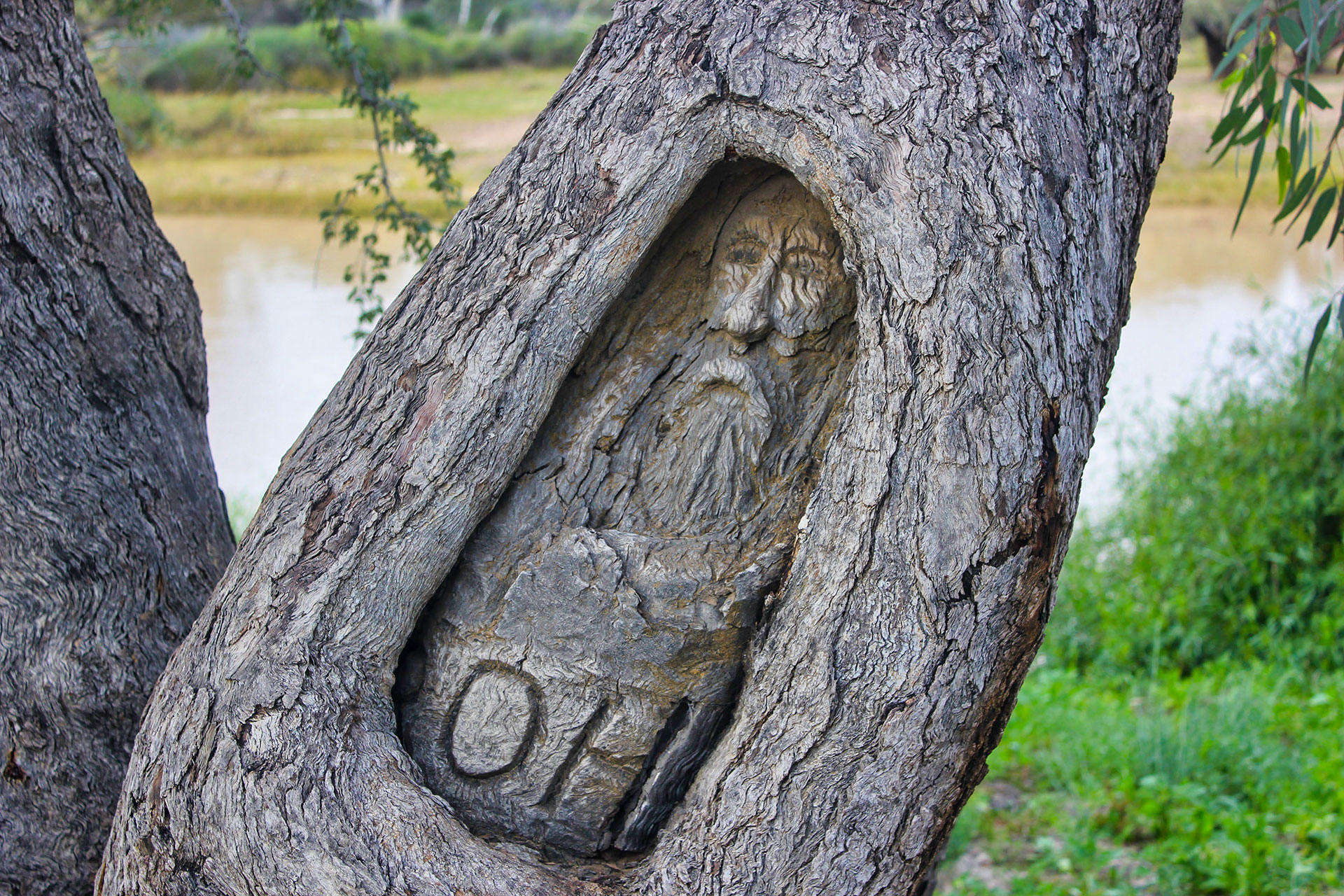 Burke and Wills Dig Tree