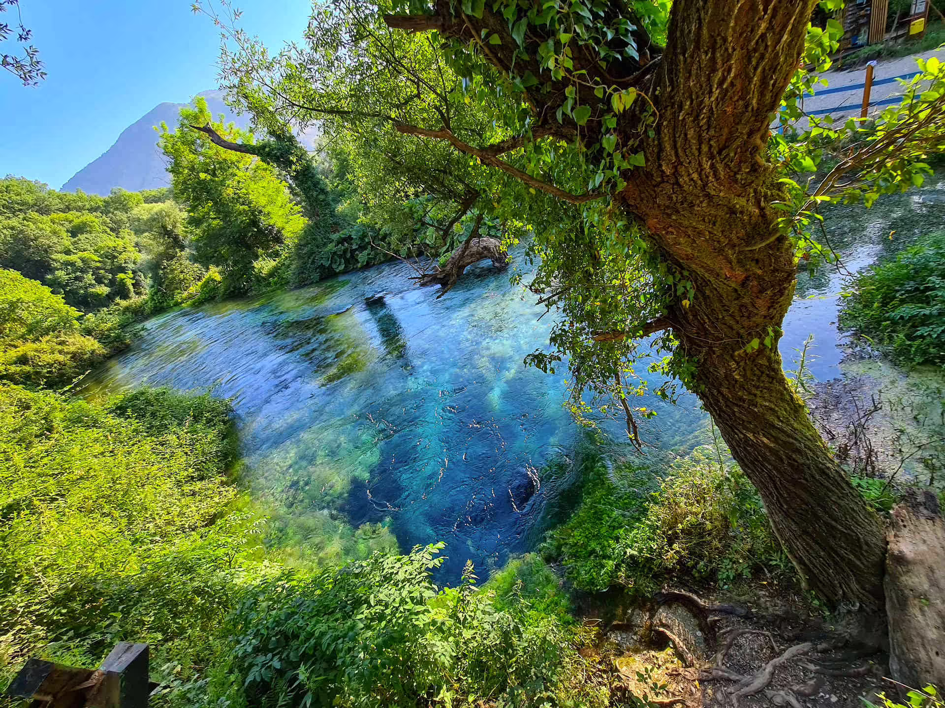 Modré oko, Albánsko