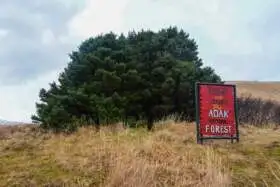 Národný les Adak