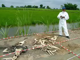 Farma mŕtvol