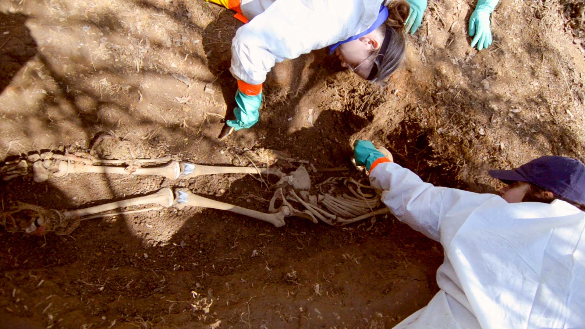 Body Farm