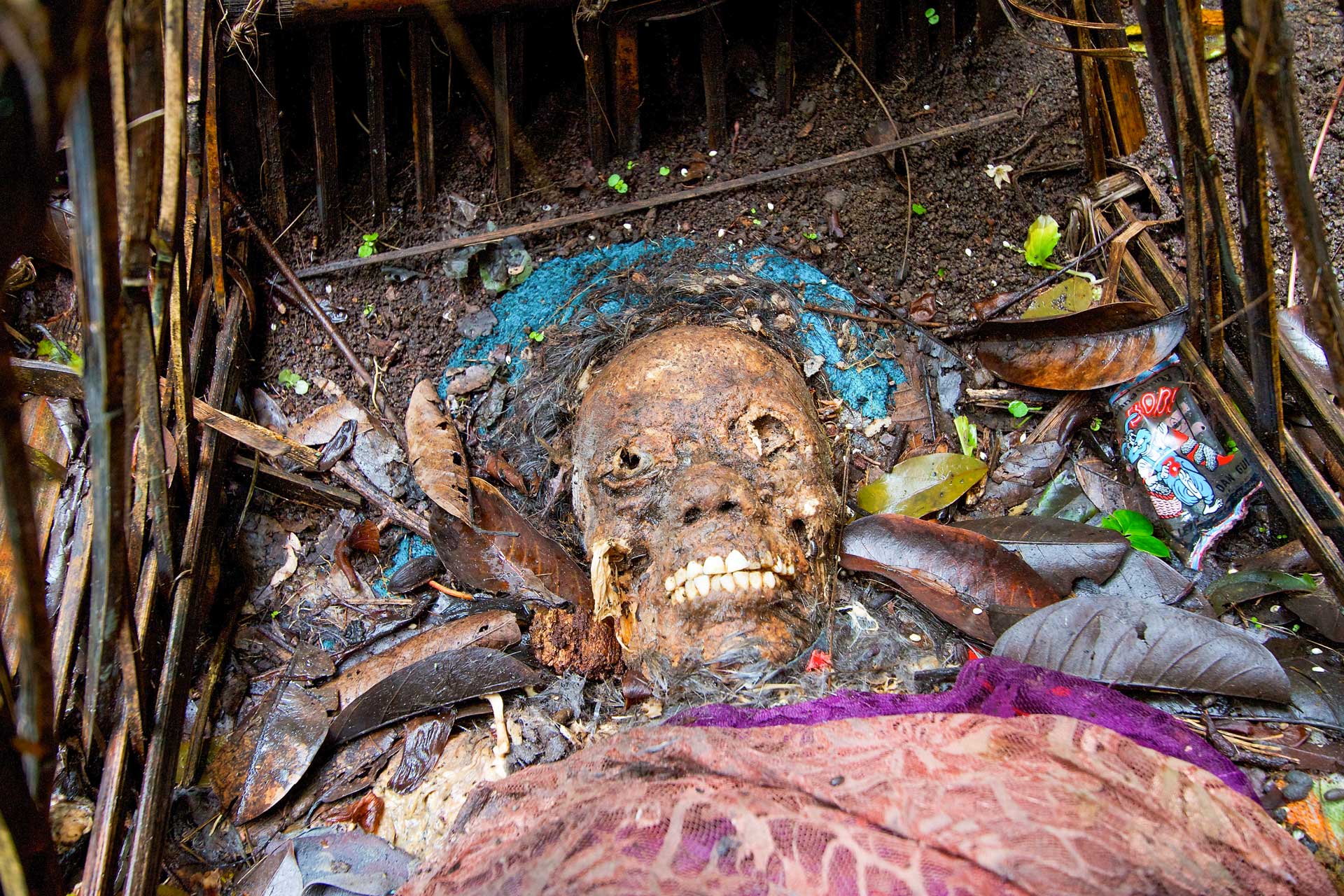 Body Farm
