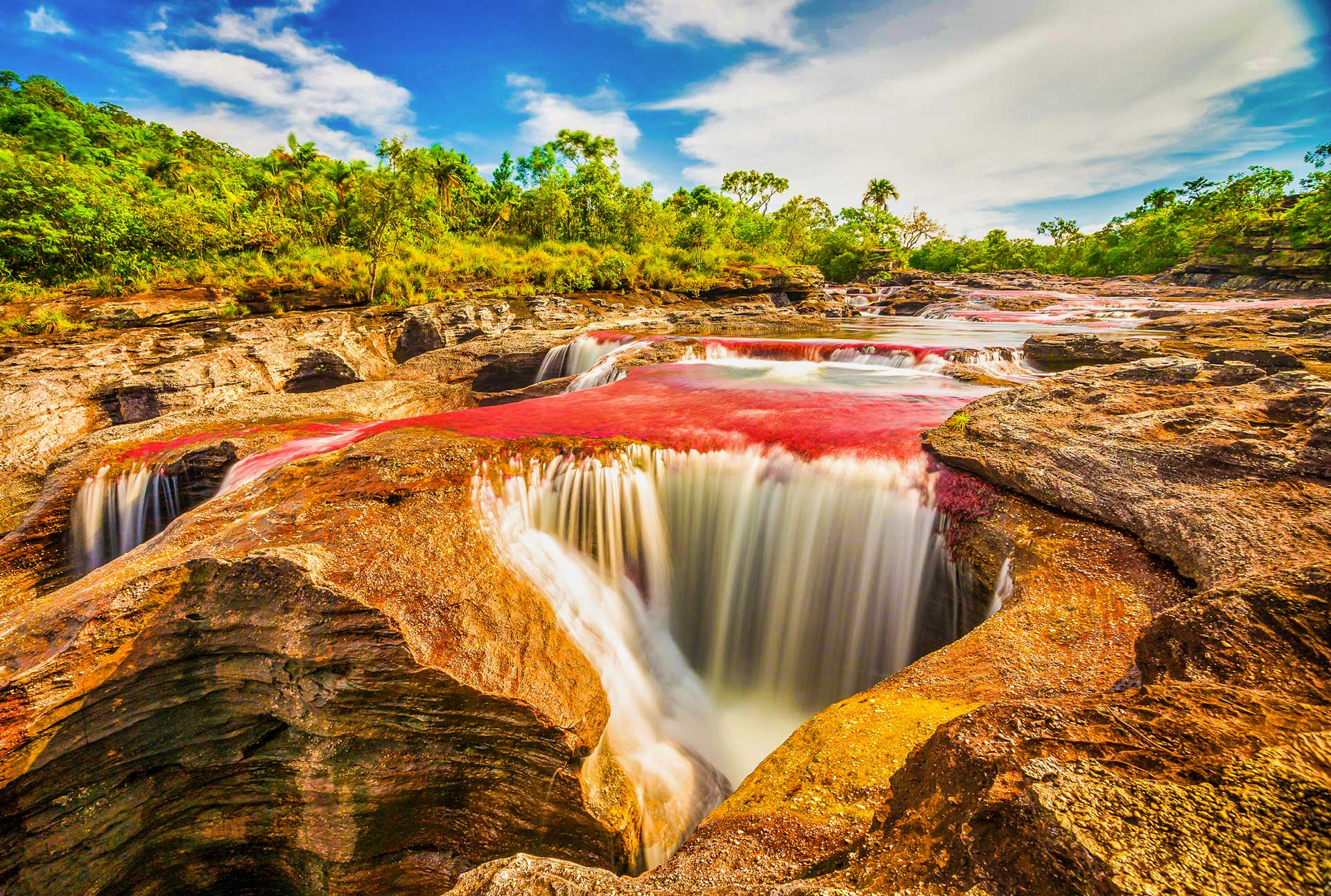 Caño Cristales