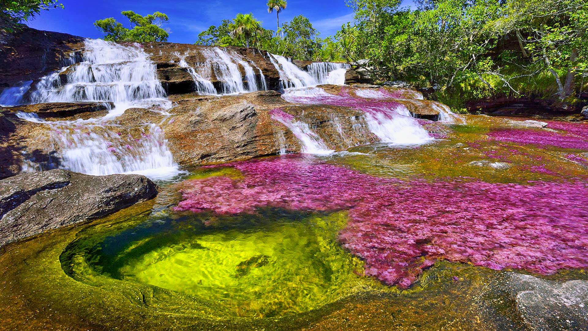 Caño Cristales
