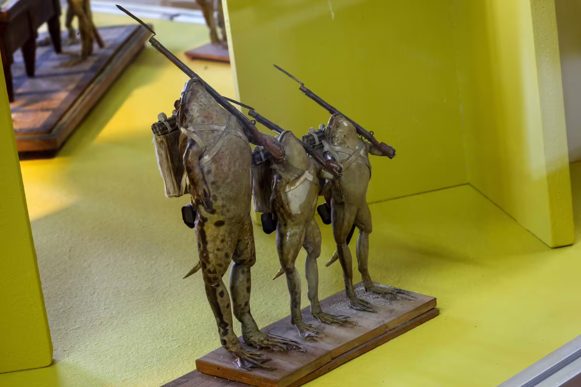 Le Musée des Grenouilles