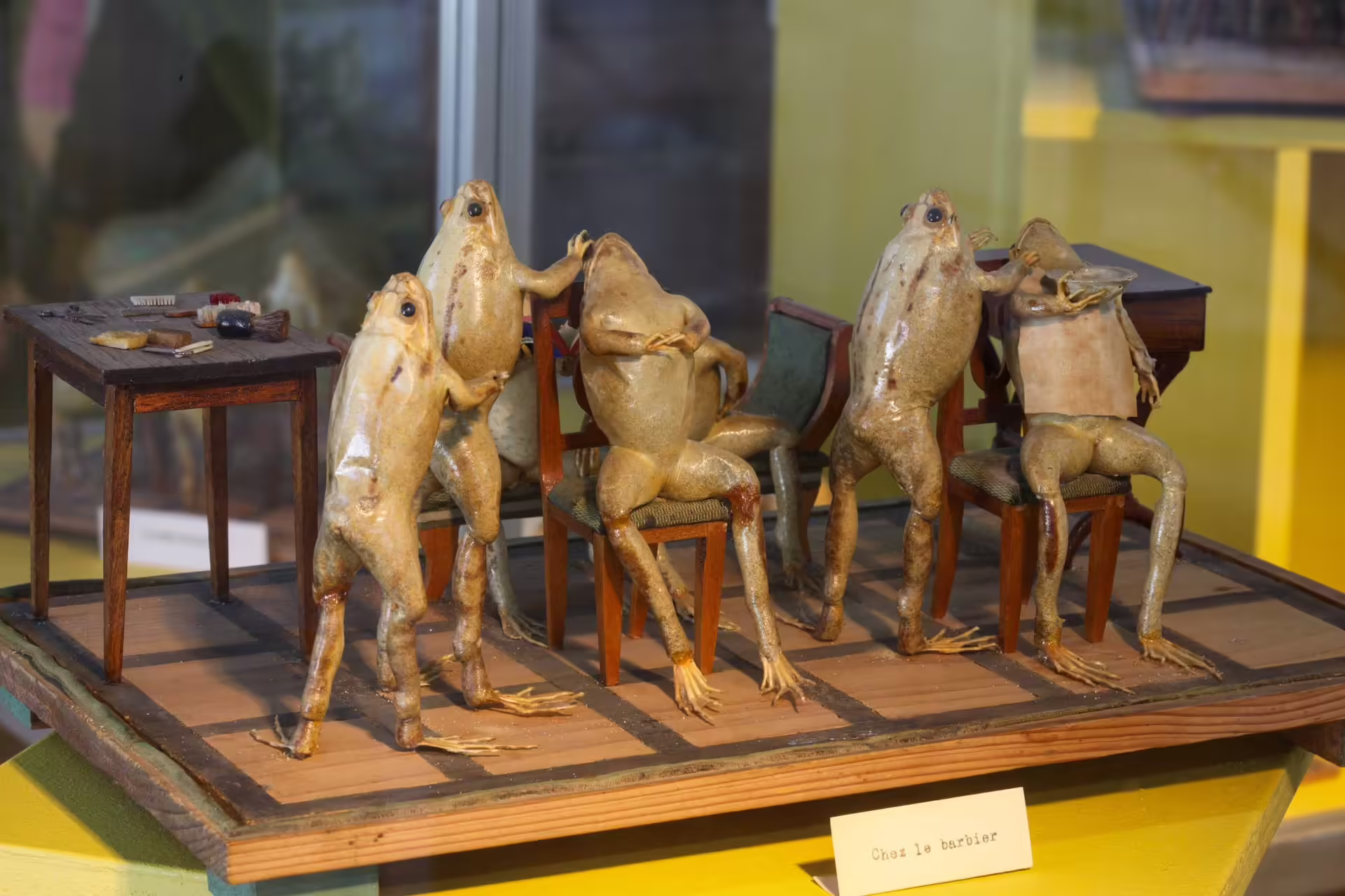 Le Musée des Grenouilles