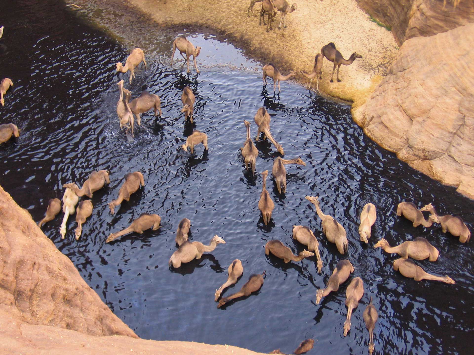 Guelta d'Archei