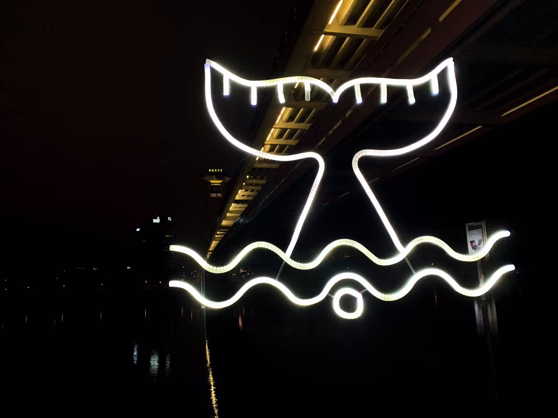 Biela noc, nábrežie Dunaja