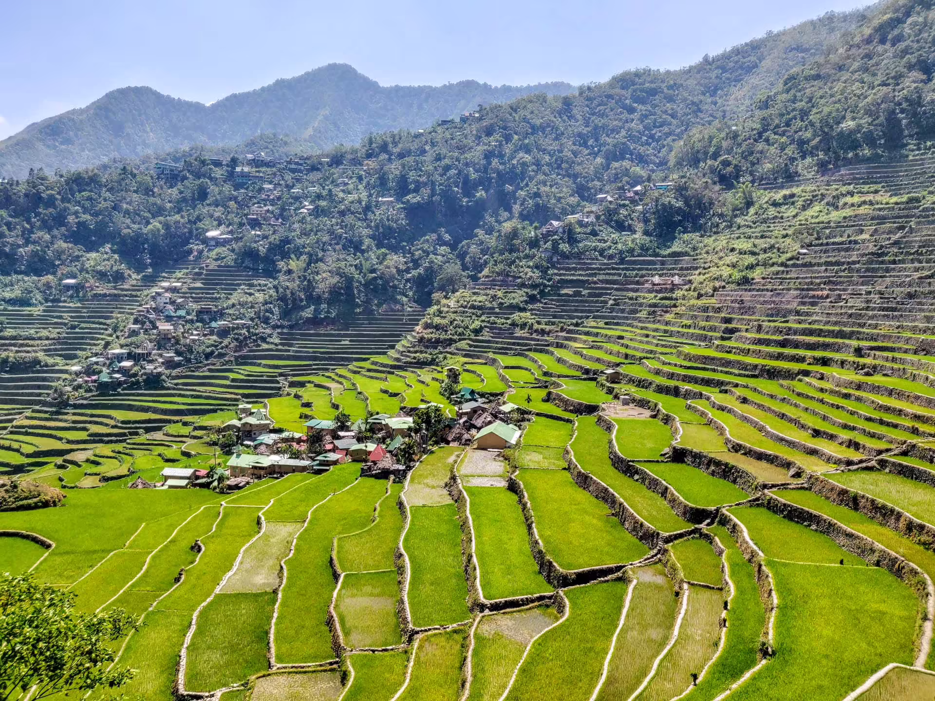 Terasy, Banaue