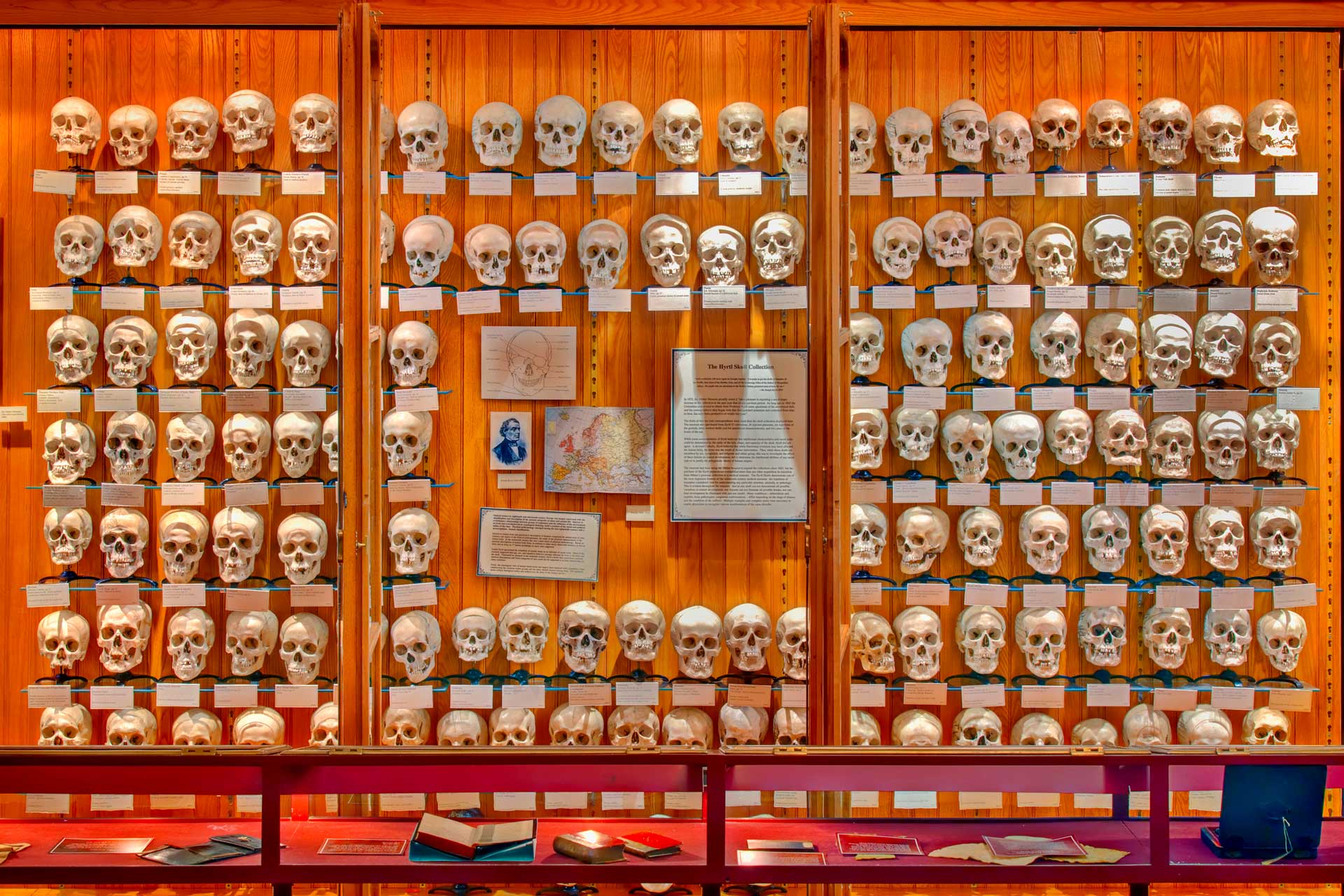 https://www.placemania.sk/wp-content/uploads/2021/02/mutterovo_muzeum.jpg