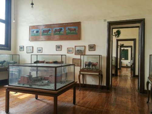 Poľnohospodárske múzeum, Káhira, Egypt