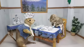 Gopher Hole Museum