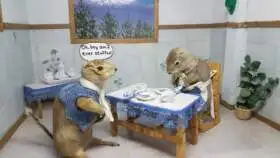 Gopher Hole Museum
