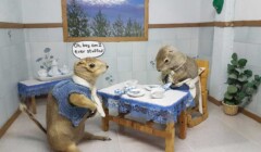 Gopher Hole Museum