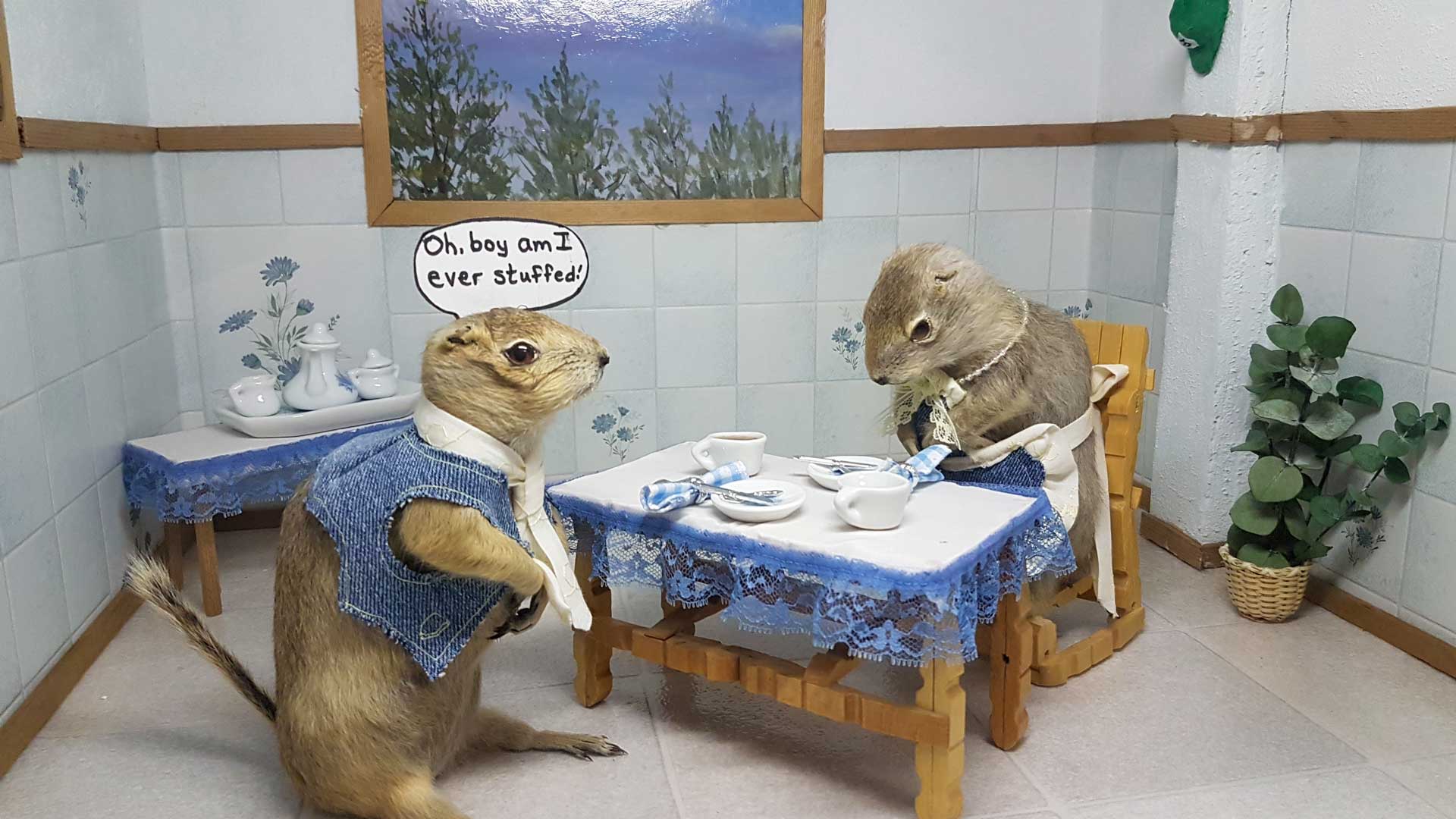 https://www.placemania.sk/wp-content/uploads/2021/02/syslia_nora.jpg