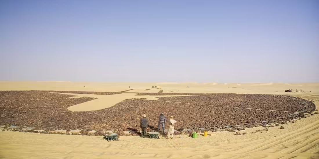 Ténéré, Nigéria