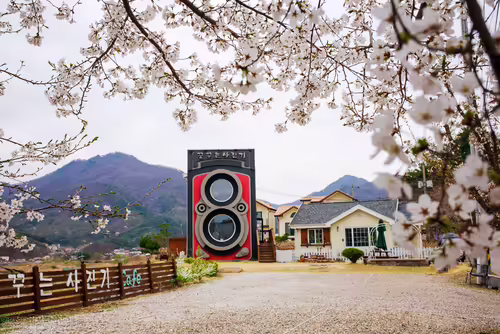 Dreamy Camera Cafe