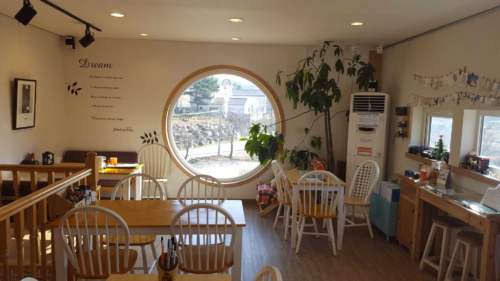Dreamy Camera Cafe
