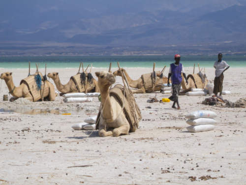Lac 'Assal, Djibouti