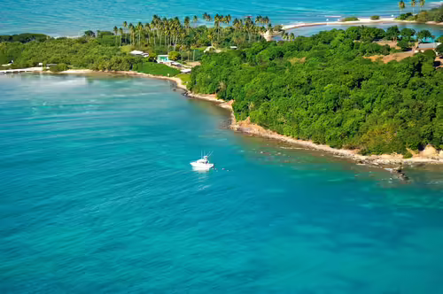 Cayo Santiago