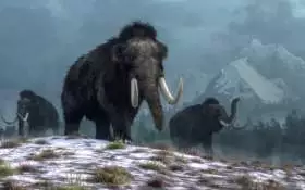 Wrangel Island, Russia