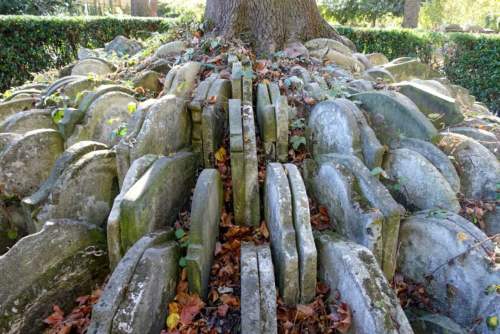 The Hardy Tree
