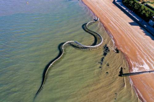 Serpent d'océan