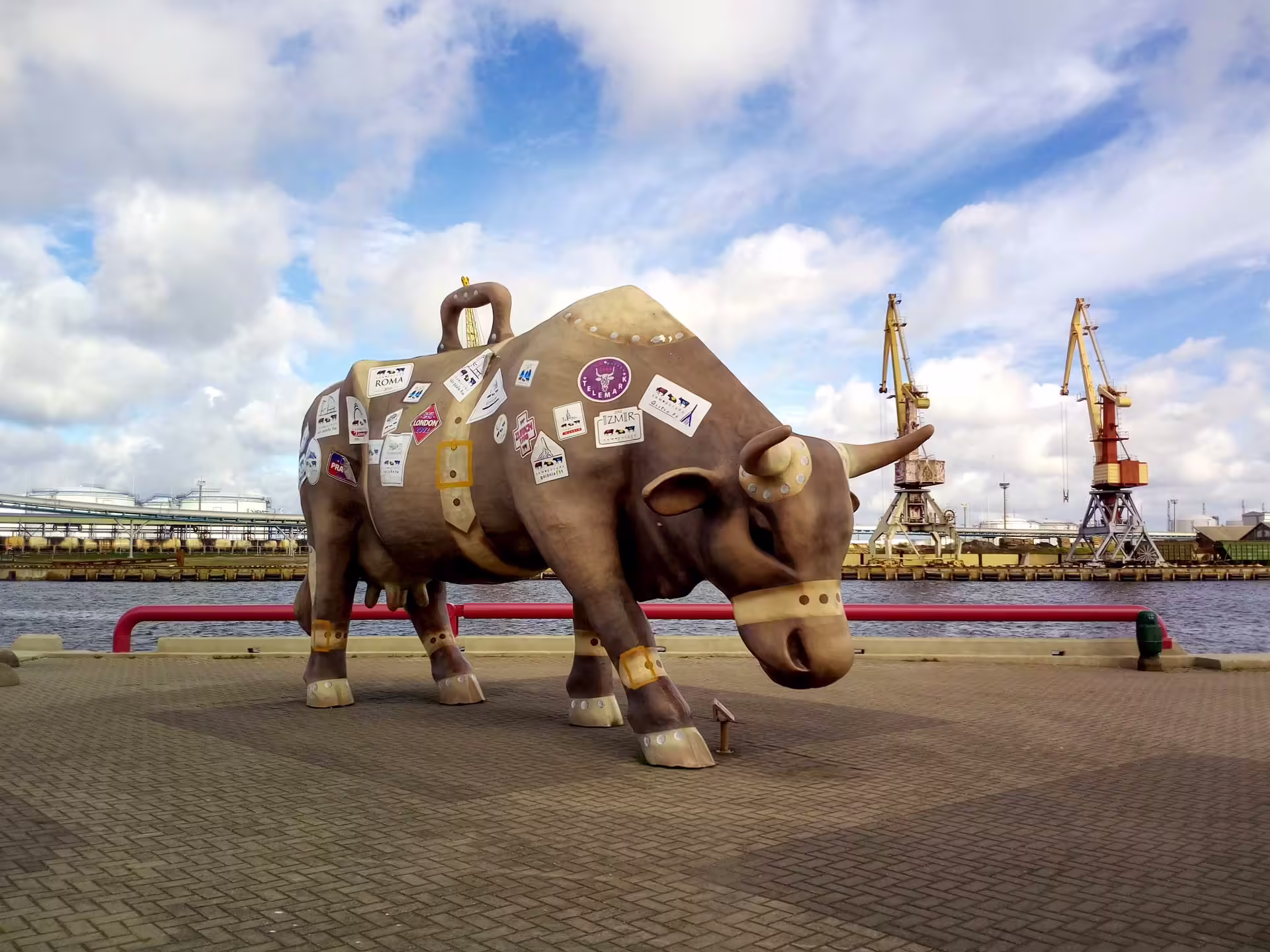 Travel Cow